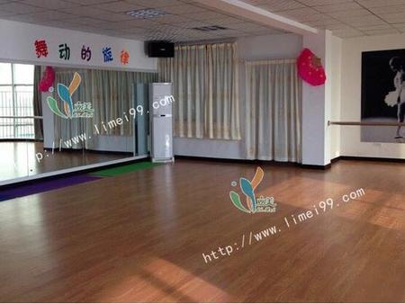 星空体育app网址：2019-2023年中國木地板行業投資远景預測報告